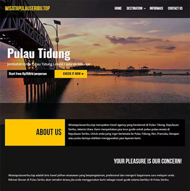 Jasa Buat Situs Medan Professional