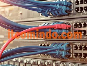 Jasa Instalasi Networking (Jaringan) Server Untuk Perkantoran